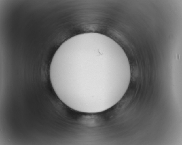 X0000088690414200706282006