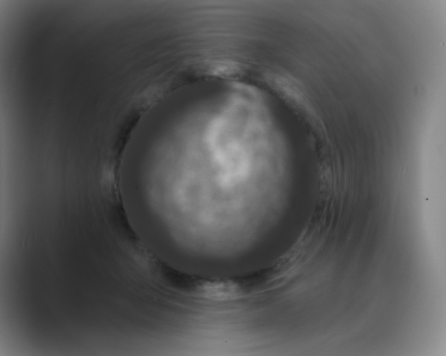 X0000088690415200706282006