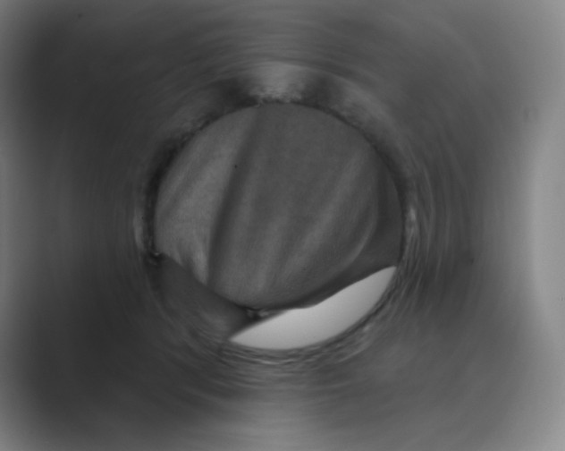 X0000088690416200706282006