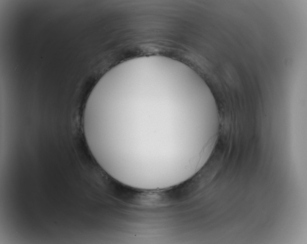 X0000088690418200706282006