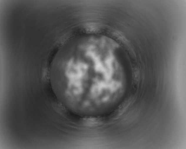 X0000088690419200706282006