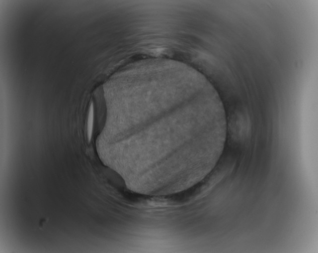 X0000088690420200706282006