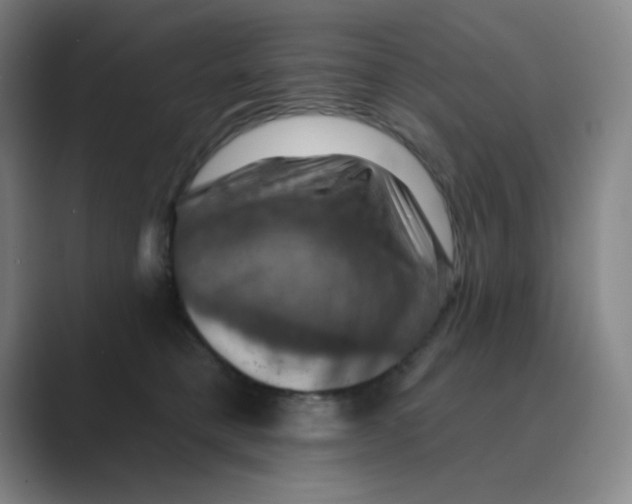 X0000088690421200706282006