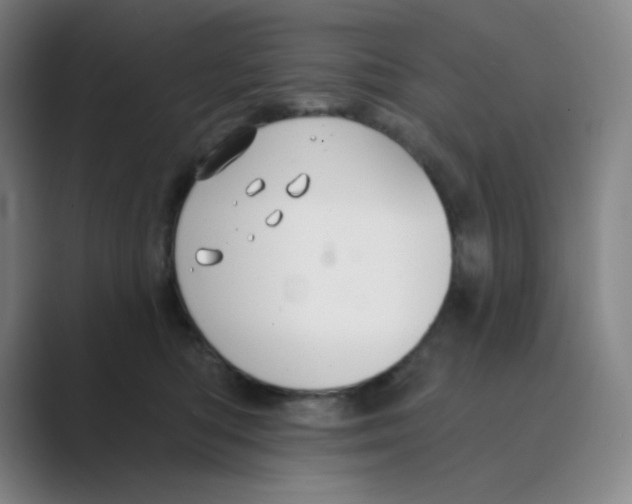 X0000088690422200706282006