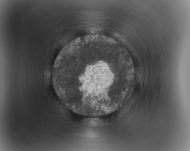 X0000088690427200706282006