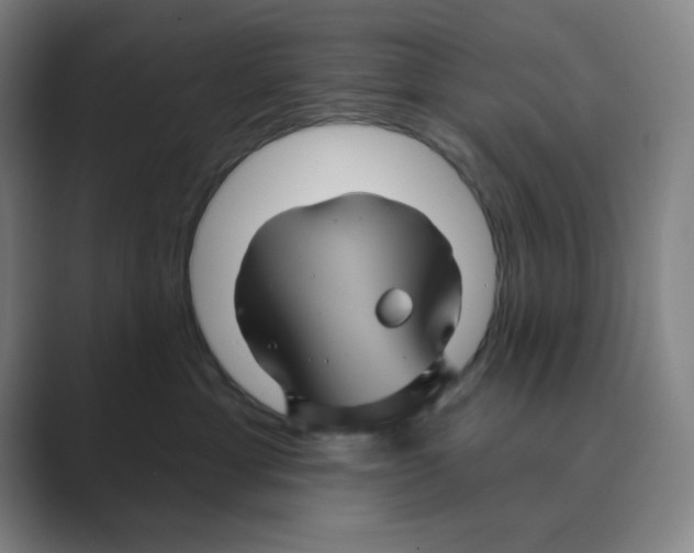 X0000088690429200706282006