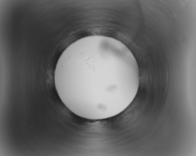 X0000088690430200706282006