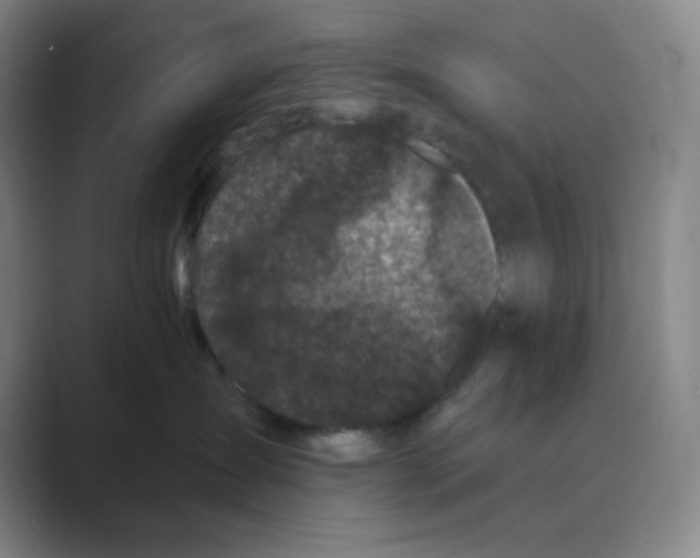 X0000088690431200706282006