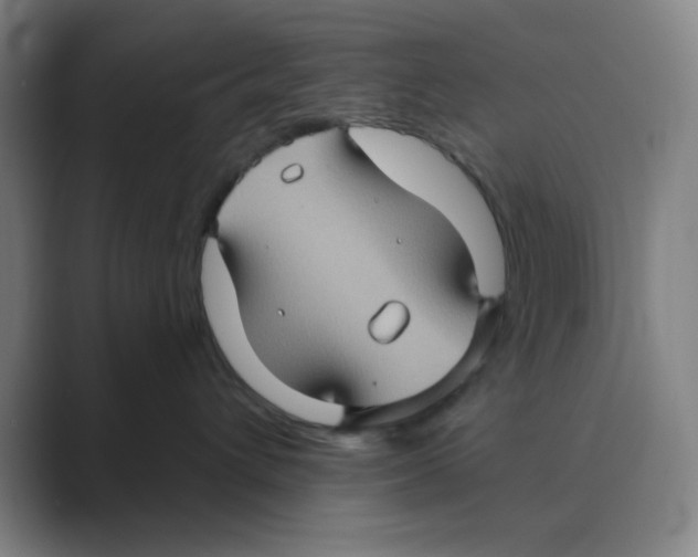 X0000088690432200706282006