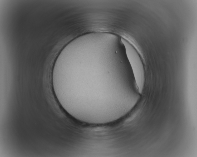 X0000088690433200706282005