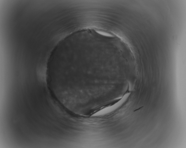 X0000088690434200706282005