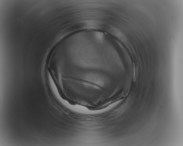 X0000088690435200706282005