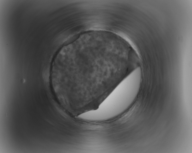 X0000088690437200706282006