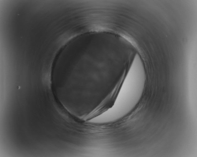 X0000088690438200706282006