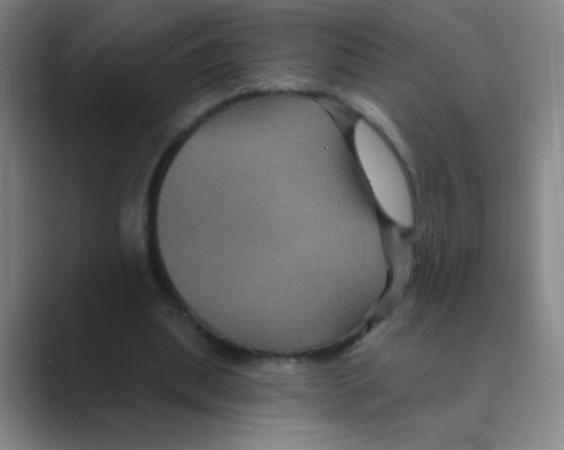 X0000088690439200706282006