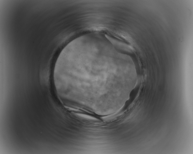 X0000088690440200706282006