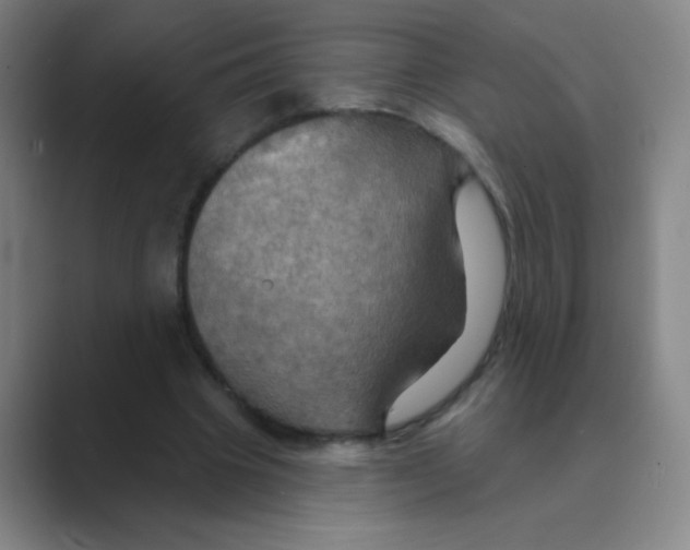 X0000088690441200706282006