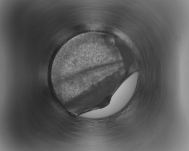 X0000088690442200706282006