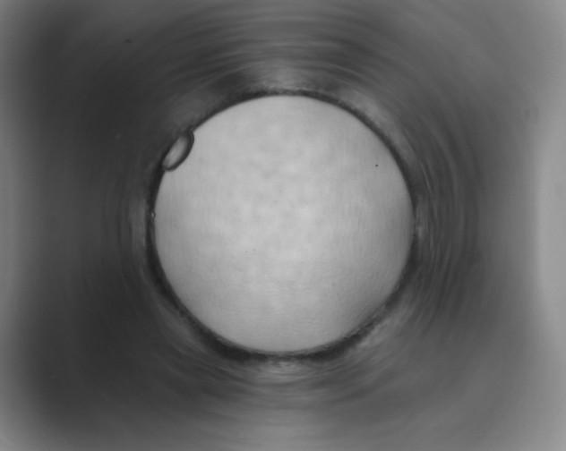 X0000088690445200706282006