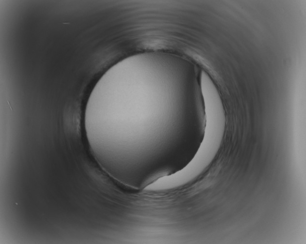 X0000088690446200706282006