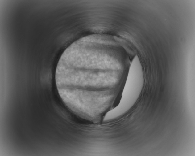 X0000088690448200706282006