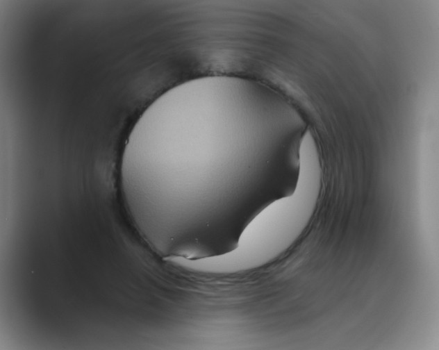 X0000088690450200706282006