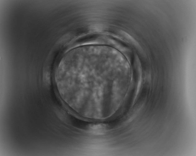 X0000088690452200706282006