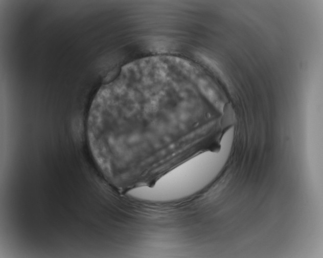 X0000088690453200706282006