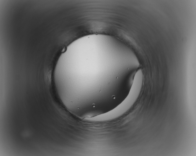 X0000088690454200706282006