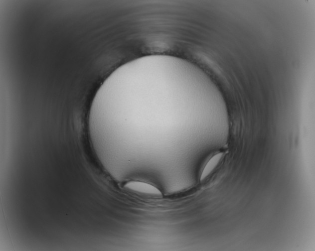 X0000088690455200706282006