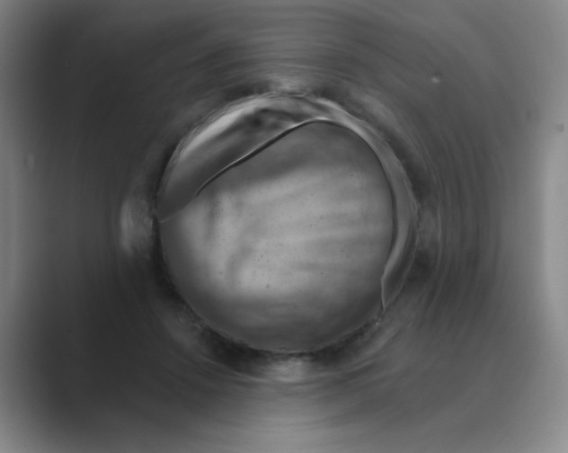 X0000088690456200706282006