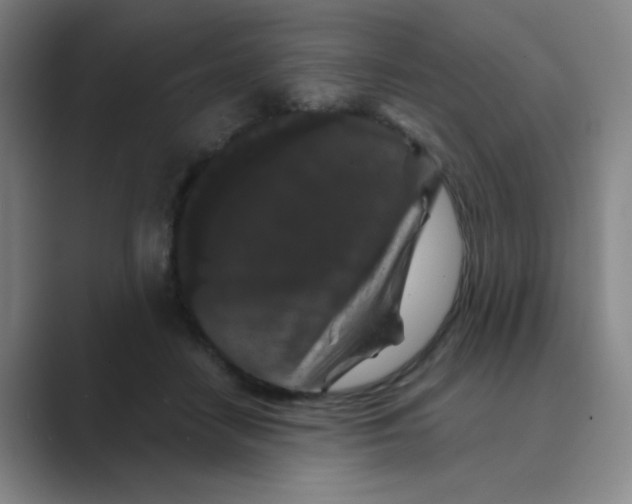 X0000088690458200706282006