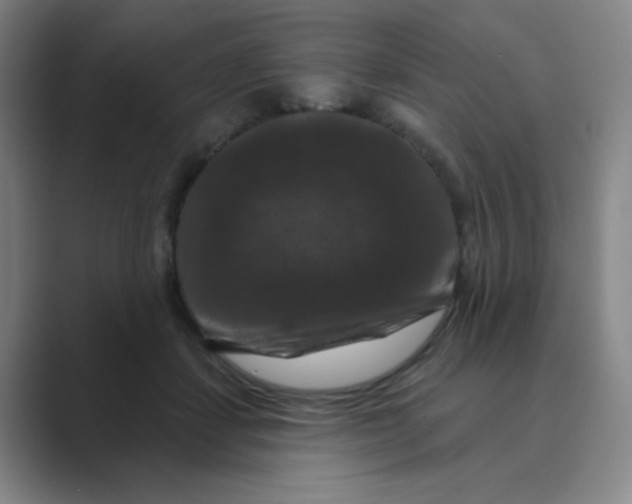 X0000088690459200706282006