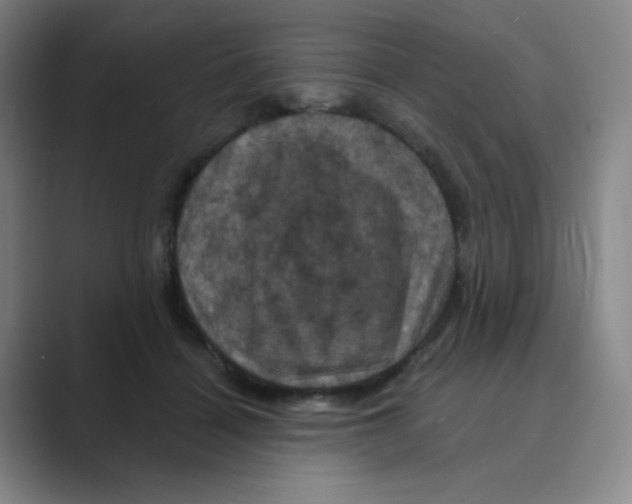 X0000088690460200706282006