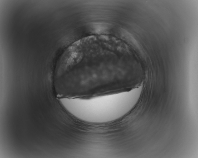 X0000088690461200706282006