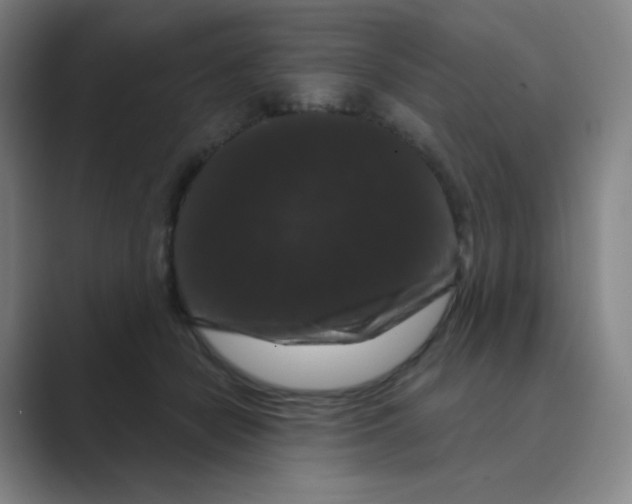 X0000088690462200706282006