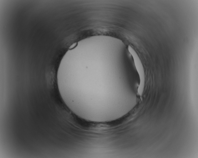 X0000088690463200706282006