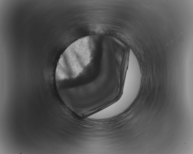 X0000088690466200706282006