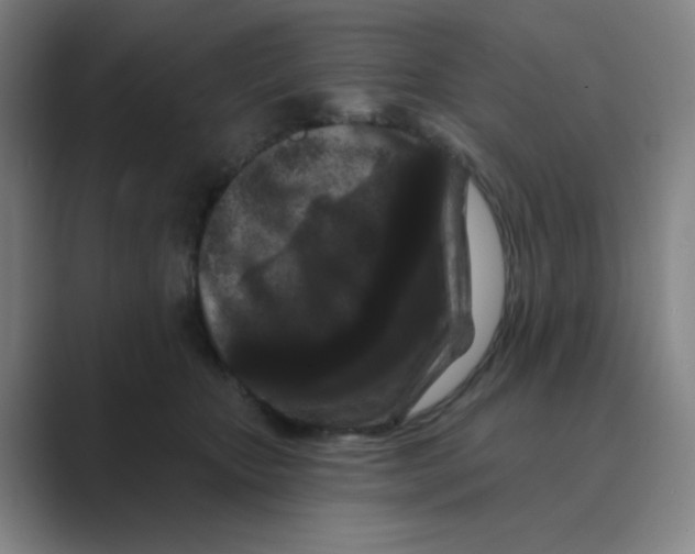 X0000088690467200706282006