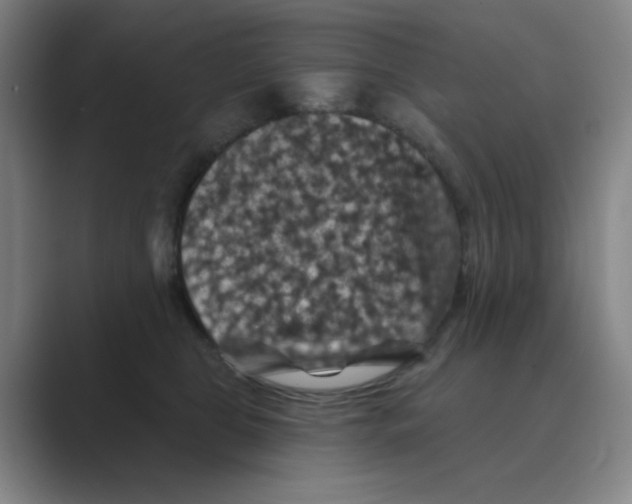 X0000088690469200706282006