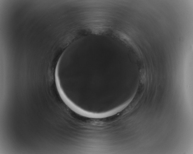 X0000088690471200706282006