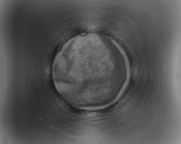 X0000088690472200706282006