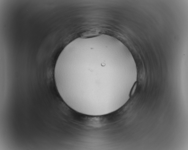 X0000088690473200706282006