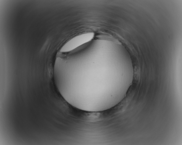 X0000088690474200706282006