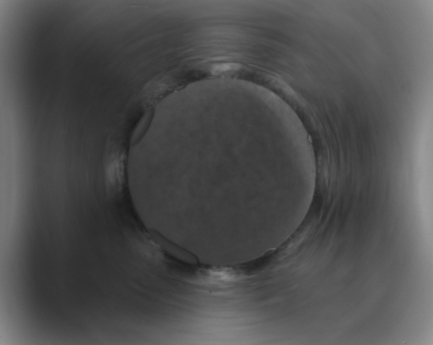 X0000088690475200706282006