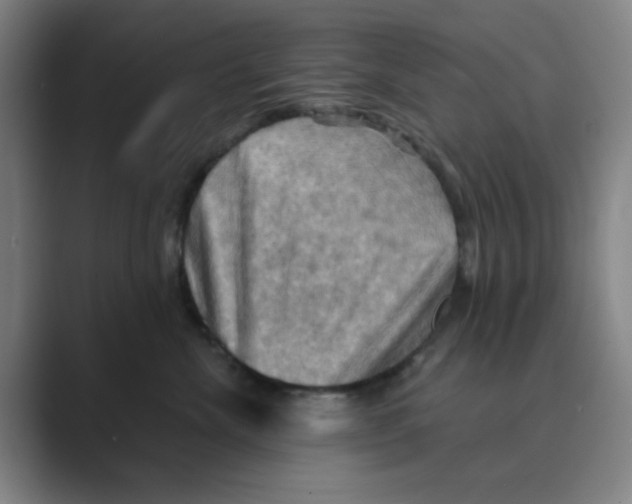 X0000088690476200706282006