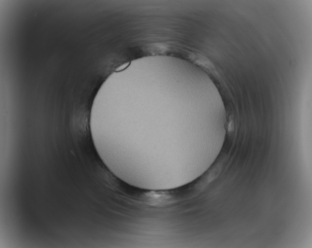 X0000088690477200706282006