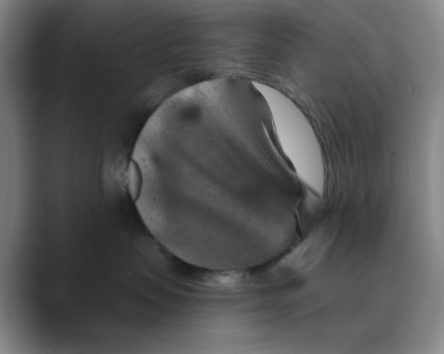 X0000088690479200706282006