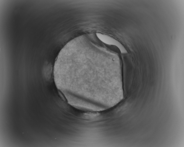 X0000088690480200706282006