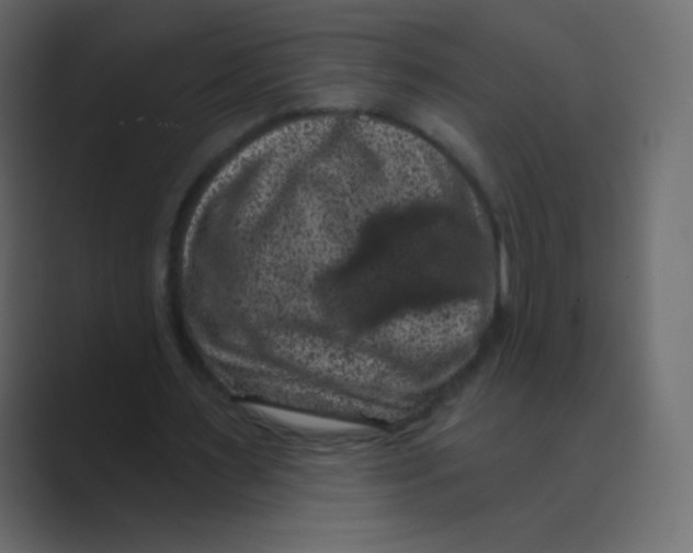 X0000088690483200706282005